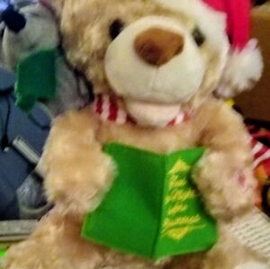 Story Telling Bear And Mouse